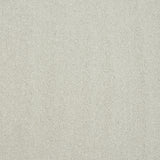 Captivation Twist Carpet
