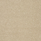 StainFree Twist Carpet