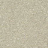 StainFree Twist Carpet