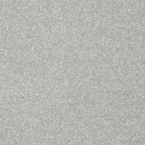 StainFree Twist Carpet