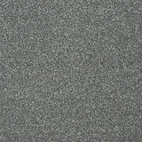 StainFree Twist Carpet