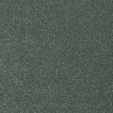 StainFree Twist Carpet