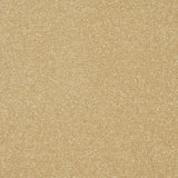 StainFree Twist Carpet