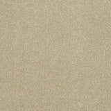 StainFree Ultra Carpet