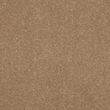 StainFree Ultra Carpet