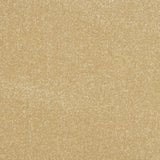StainFree Ultra Carpet
