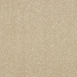 Stainfree Maximus Carpet