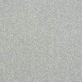 Stainfree Maximus Carpet