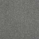 Stainfree Maximus Carpet