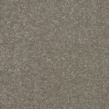 Stainfree Maximus Carpet