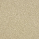 Stainfree Maximus Carpet