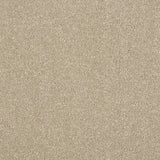 Stainfree Maximus Carpet