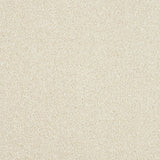 Stainfree Maximus Carpet