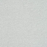 Stainfree Maximus Carpet
