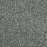 Stainfree Maximus Carpet