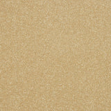 Stainfree Maximus Carpet