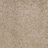 Aries Saxony Carpet