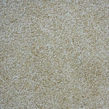 Aries Saxony Carpet