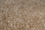 Ariel Soft Touch Saxony Carpet