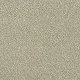Rustique Twist Carpet