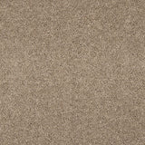Love Story Seduction Carpet