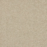 Love Story Seduction Carpet
