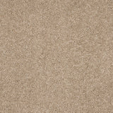 Love Story Seduction Carpet