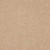 Love Story Seduction Carpet