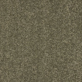 Love Story Seduction Carpet