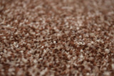 Rutland Twist Carpet