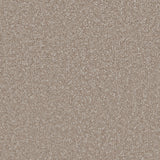 Beautiful Breeze Carpet