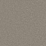 Beautiful Breeze Carpet