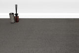 Burlington Dense Twist Carpet