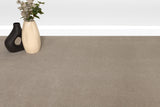 Burlington Dense Twist Carpet