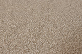 Burlington Dense Twist Carpet