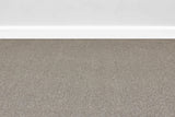 Burlington Dense Twist Carpet