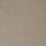 Burlington Dense Twist Carpet