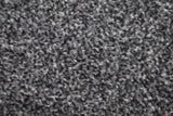 Caesar Saxony Carpet