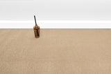 Calypso Saxony Carpet