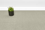Calypso Saxony Carpet