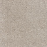 Dreamy Delight Carpet