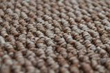 Flora Loop Carpet