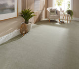 StainFree Ultra Carpet