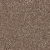 Knightlife Saxony Carpet