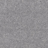 Knightlife Saxony Carpet