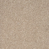 Monroe Dense 10th Gauge Carpet