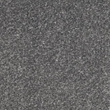 Monroe Dense 10th Gauge Carpet