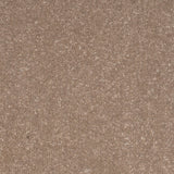 Monroe Dense 10th Gauge Carpet