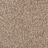 Oxford Saxony Carpet