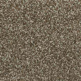 Oxford Saxony Carpet